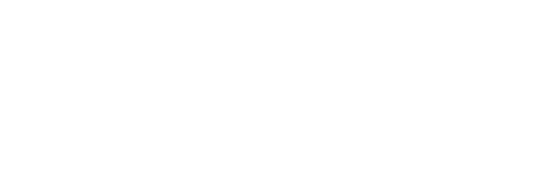 The Other Perspective